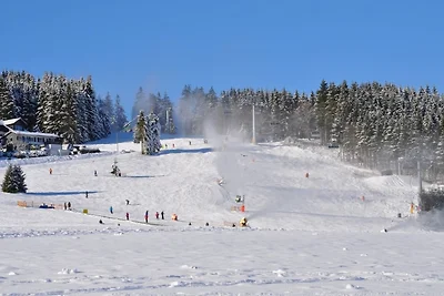 Vakantieappartement Gezinsvakantie Willingen