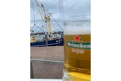 Neues Ferienhaus Nr. 47 mit