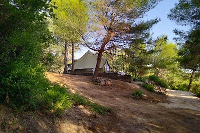 Zelt 4 Camp West