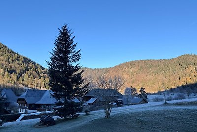 Schwarzwaldhaus - Fewo Fichte, St.