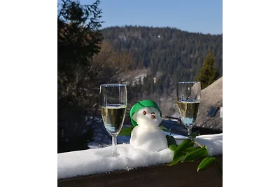 Vakantieappartement Gezinsvakantie Feldberg