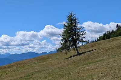 Appartamento Vacanza con famiglia Bad Kleinkirchheim