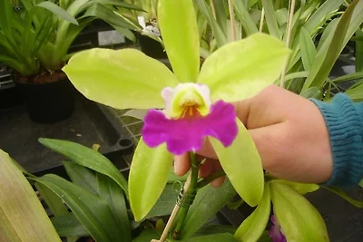 Vakantieappartement Gezinsvakantie Nahrendorf