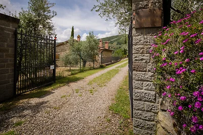 Villa Irene