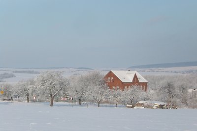 Vakantieappartement Gezinsvakantie Rottleben