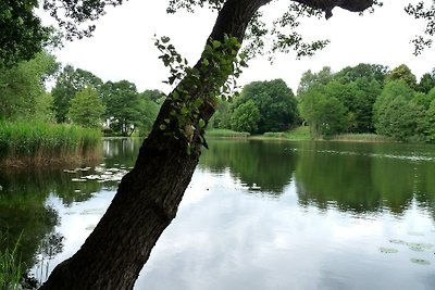 Ferienhaus beim Stechlinsee