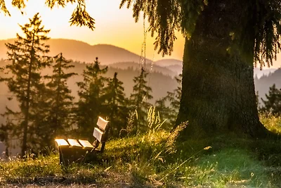 Fewo Sunneschii, Höchenschwand