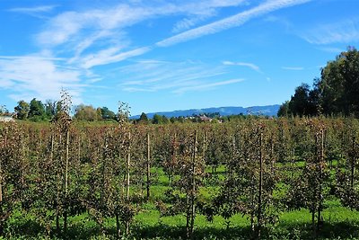 Appartamento Vacanza con famiglia Wasserburg,Bodensee