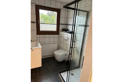 RheinSchatz Apartment 4