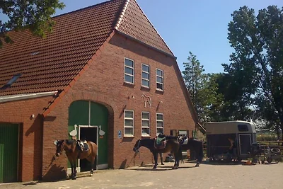 Fewo 197 Whg 2 in Süllwarden