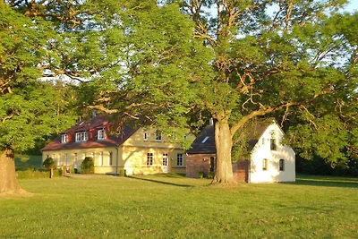 Vakantieappartement Gezinsvakantie Gingst