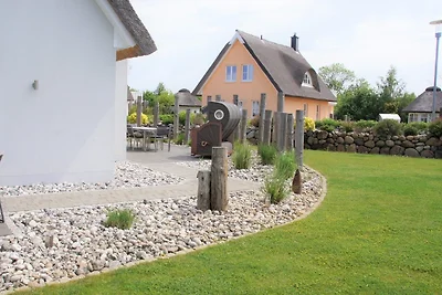 Silbermöwe