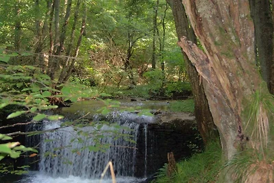 Vakantiehuis Ontspannende vakantie Beltheim