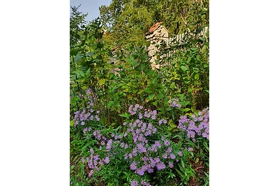 Vakantieappartement Gezinsvakantie Nuthe-Urstromtal