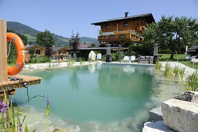 Chalet Nähe Skigebiete Flachau und