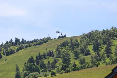 Vakantieappartement Gezinsvakantie Willingen