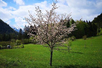 Appartamento Vacanza con famiglia Ruhpolding