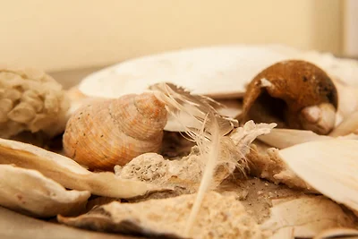 apartman za odmor Obiteljski odmor Borkum