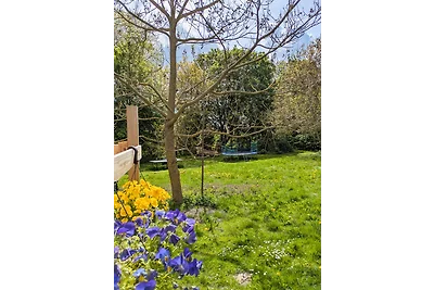 Tiny Haus - Sternenblick - Sauna