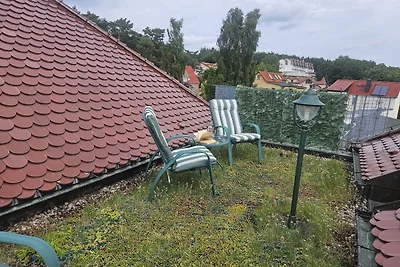 Villa Viktoria Whg. 21 -