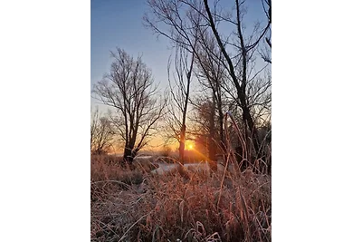 Casa vacanze Vacanza di relax Bleckede