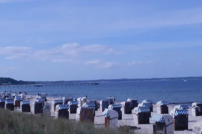 Vakantieappartement Gezinsvakantie Niendorf