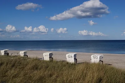 Vakantiehuis Ontspannende vakantie Gelting