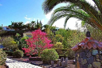 Casa Palmera A, Ferienhaus in La