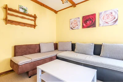 Chiemgau Comfort C6