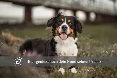 de Eller mit Schwimmbad und Sauna