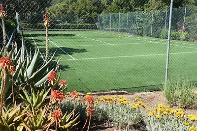 Villa Alexa