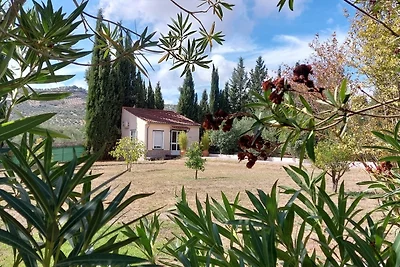 Casita Cacahuete