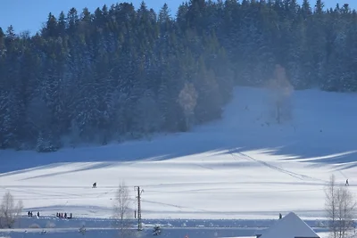 Ferienwohnung Seeblick Nr 1