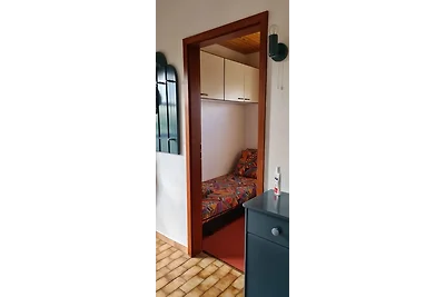 FEWO Schlei-Hering bei Kappeln /