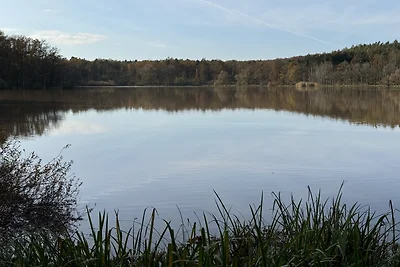 Ferienhaus Reuthsee