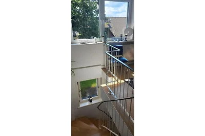 Garten über Hohegeiss