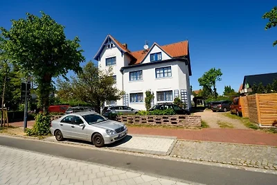 Strandnelke
