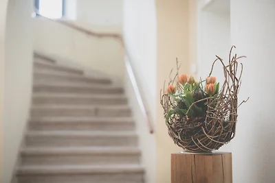 Alte Försterei Wildenthal am