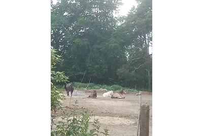 Ein Hauch von Orient