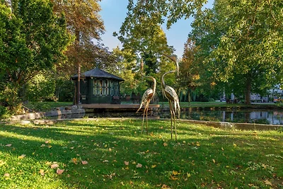 Appartamento Vacanza con famiglia Ilsenburg