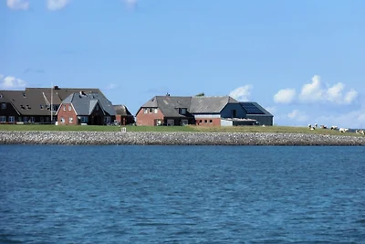 Vakantieappartement Gezinsvakantie Dagebüll