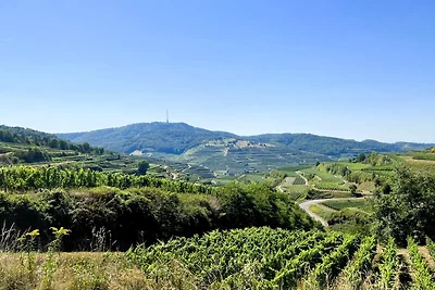 Appartamento Vacanza con famiglia Vogtsburg im Kaiserstuhl