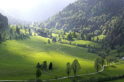 B4 Schwarzwald-Fewo an der Alb