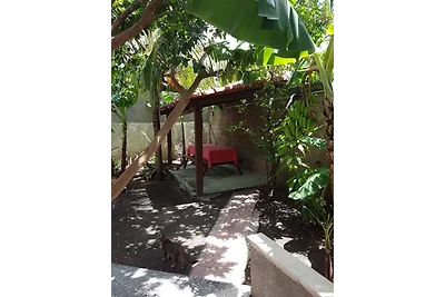 Villa Concepción Appartement 1