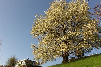 Vakantieappartement Gezinsvakantie Eisenberg