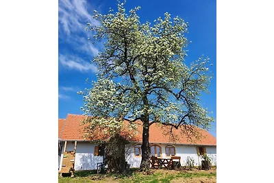 Haus Rita am Örség