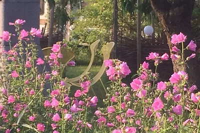 Fewo Fin vor den Toren SPO mit viel