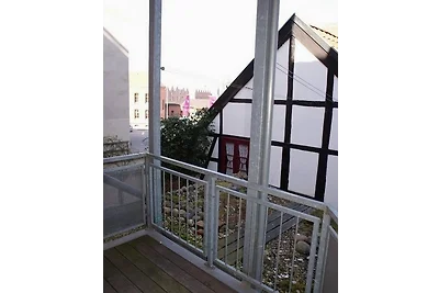 Seestern am Hafen - ABC139