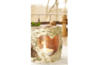 4 Personen Ferienwohnung im Wald