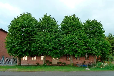 Apfelhof Fehmarn